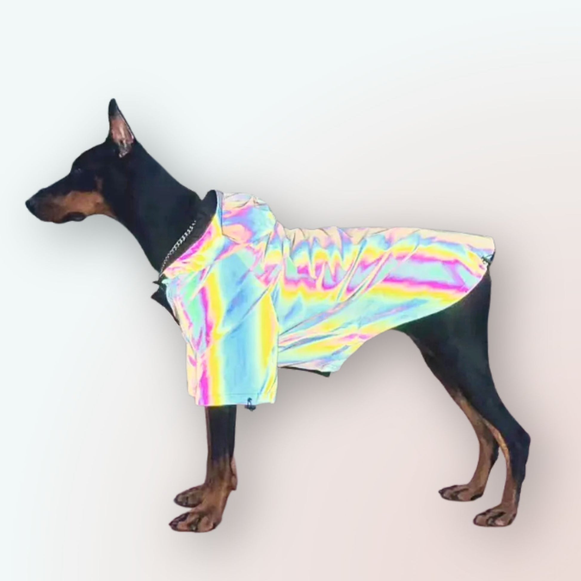 Sicher & Stilvoll im Regen: Unser Reflektierender Hunde-Regenmantel