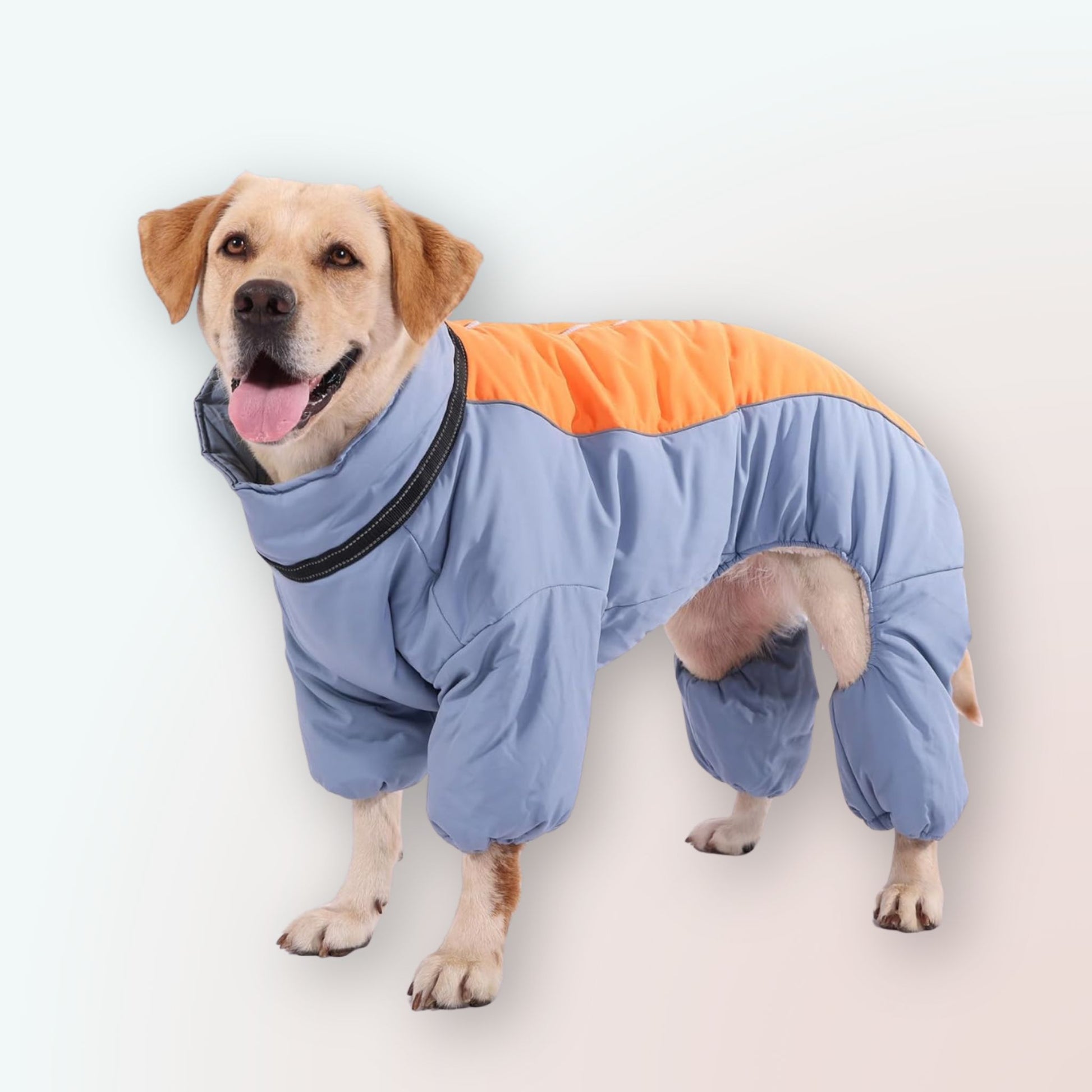 Wärme & Stil für Goldene Retriever: Unser Gemütlicher Coral-Fleece Mantel für Mittelgrosse & Grosse Hunde