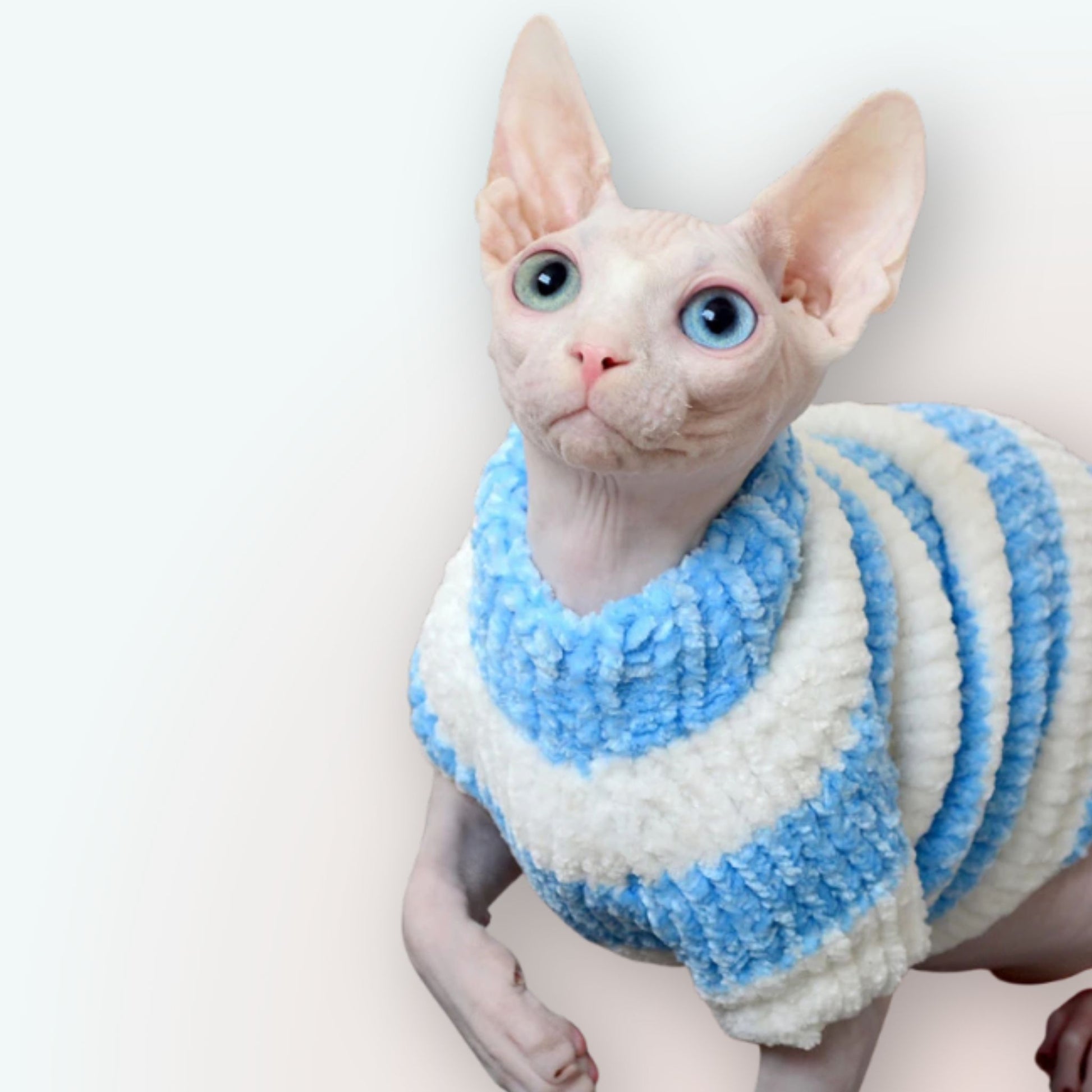 Fashion-Statement für Nacktkatzen: Unsere Modische Persönlichkeit Neue Katzenkleidung ohne Haare