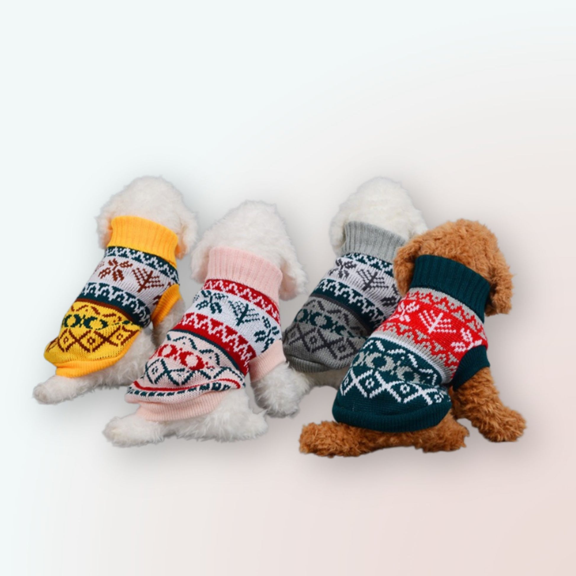 Trendiger & Kuscheliger Strickpullover für Hunde