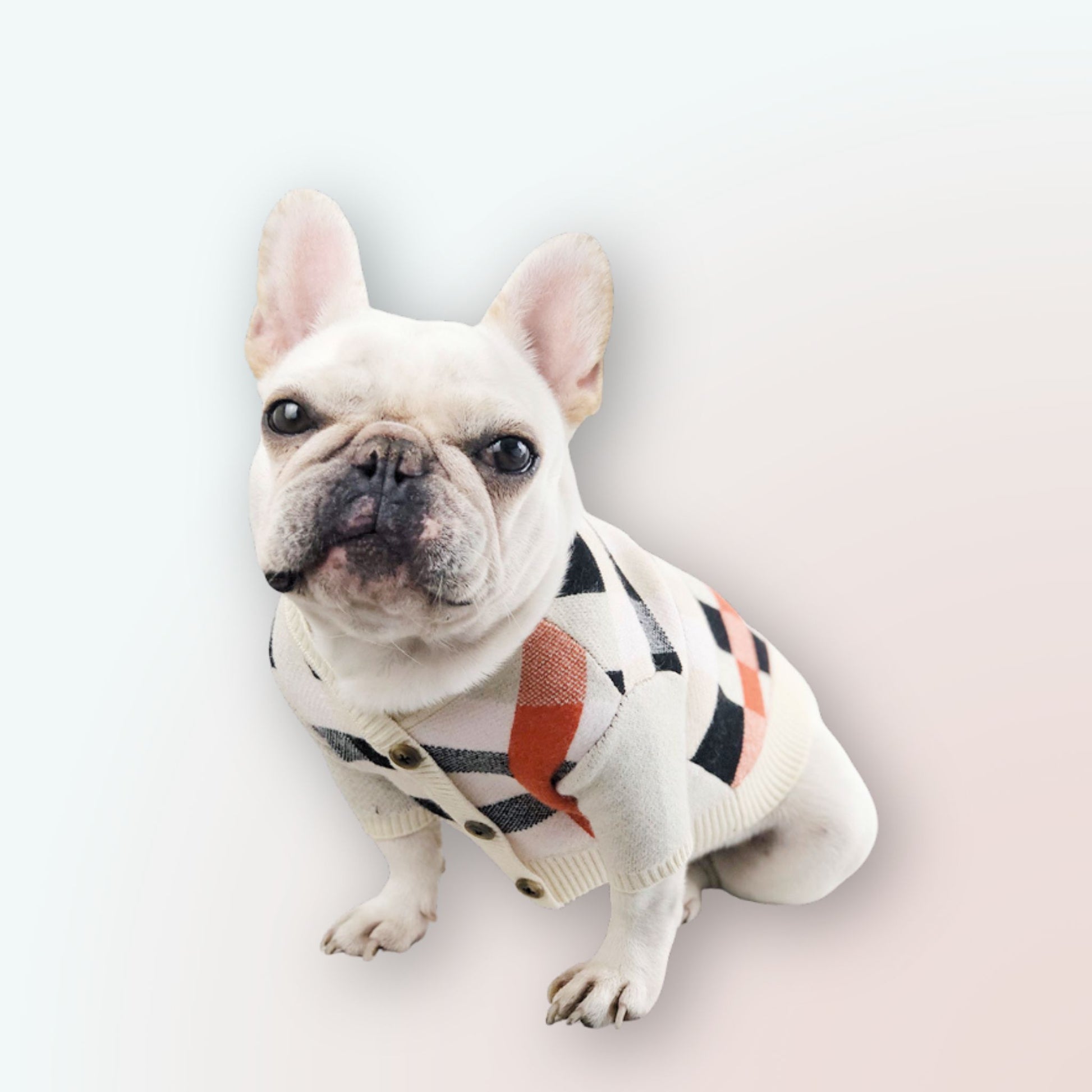 Luxuriöser Wollpullover für Hunde – Perfekt für Herbst & Winter