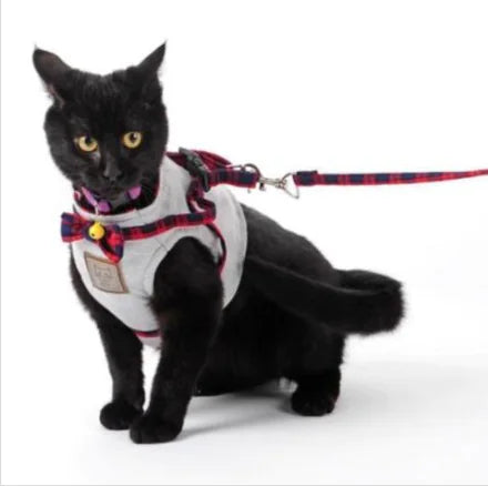 Katzen-Geschirr- und Leinen-Set
