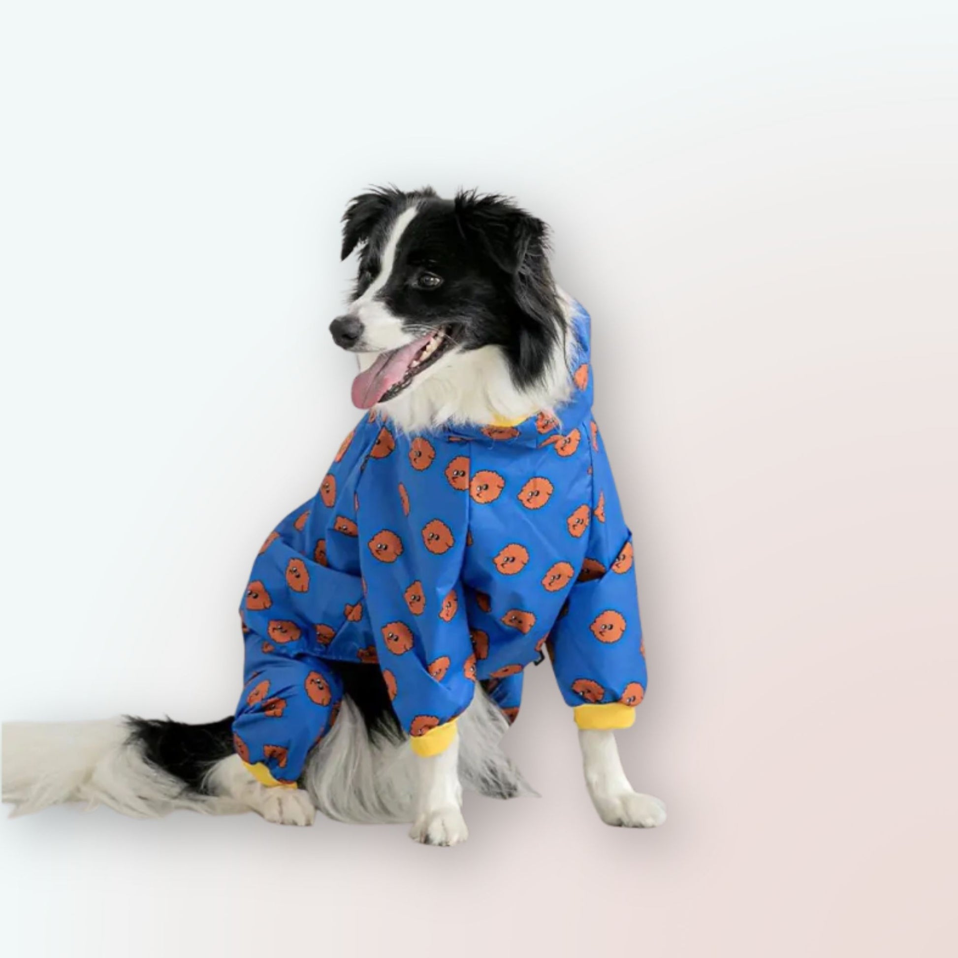 Regentage Neu Erleben: Unser Modischer Vierbeiniger Hunde-Regenmantel mit Kapuze