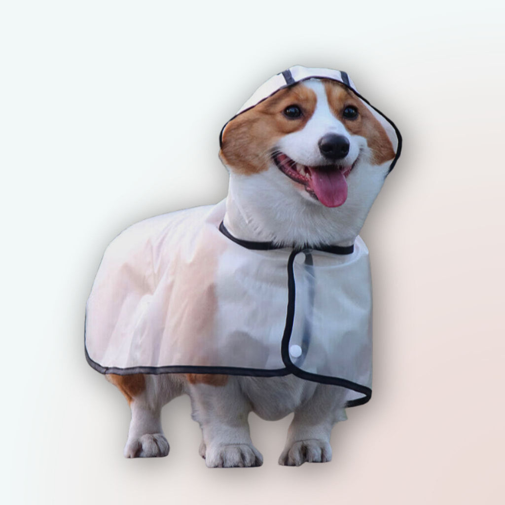 Durchsichtiger Schutz für kleine Hunde: Unser Premium TPU Regenmantel für Teddy, Corgi & Französische Bulldogge