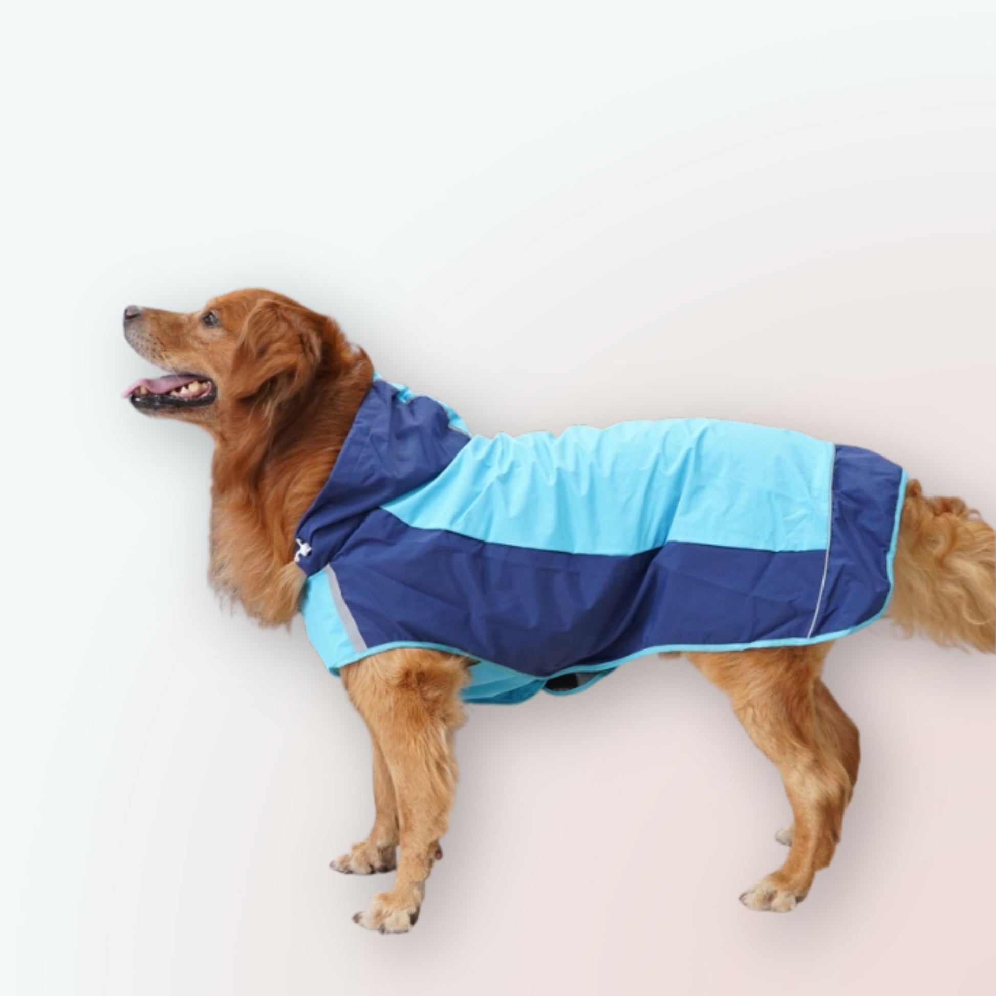 Der Ultimative Schutz für Grosse Hunde: Unser Farbenfroher Color Block Regenmantel im Umhang-Stil