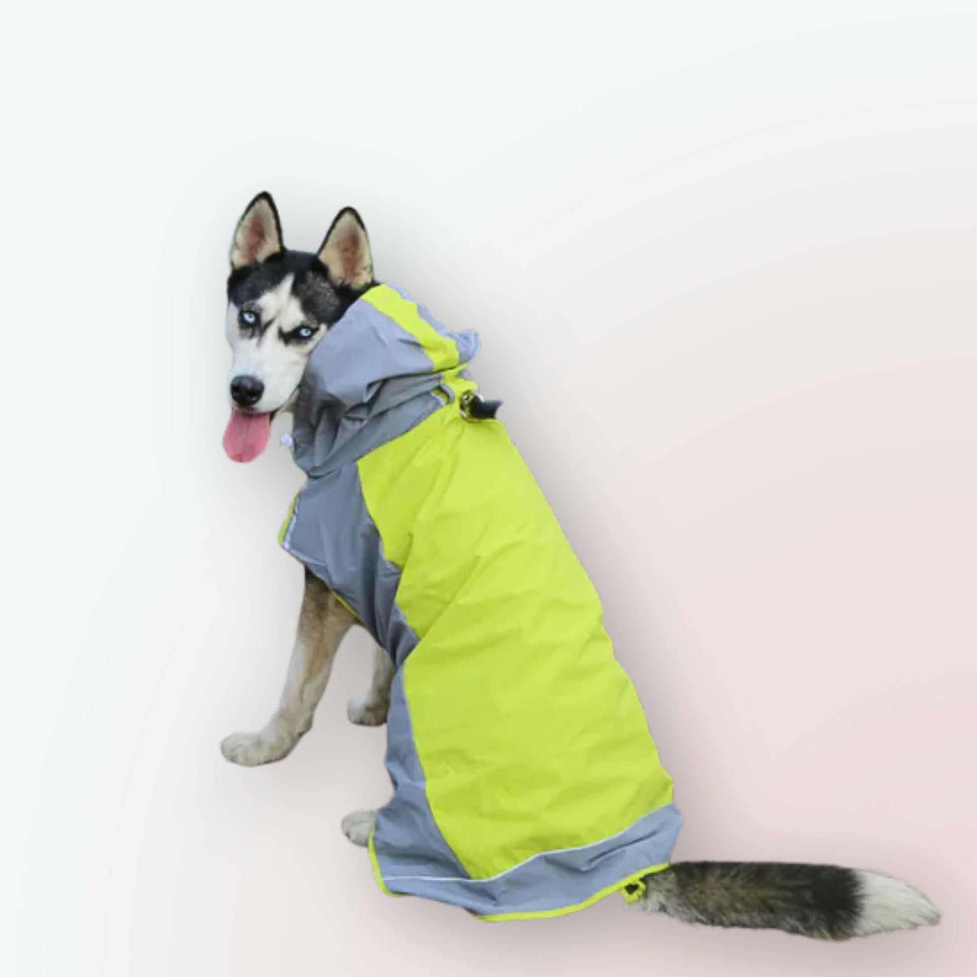 Der Ultimative Schutz für Grosse Hunde: Unser Farbenfroher Color Block Regenmantel im Umhang-Stil