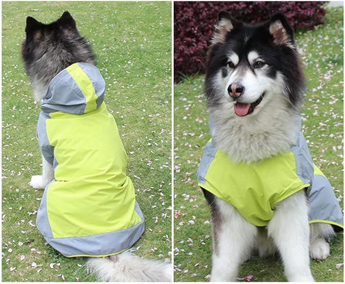 Der Ultimative Schutz für Grosse Hunde: Unser Farbenfroher Color Block Regenmantel im Umhang-Stil