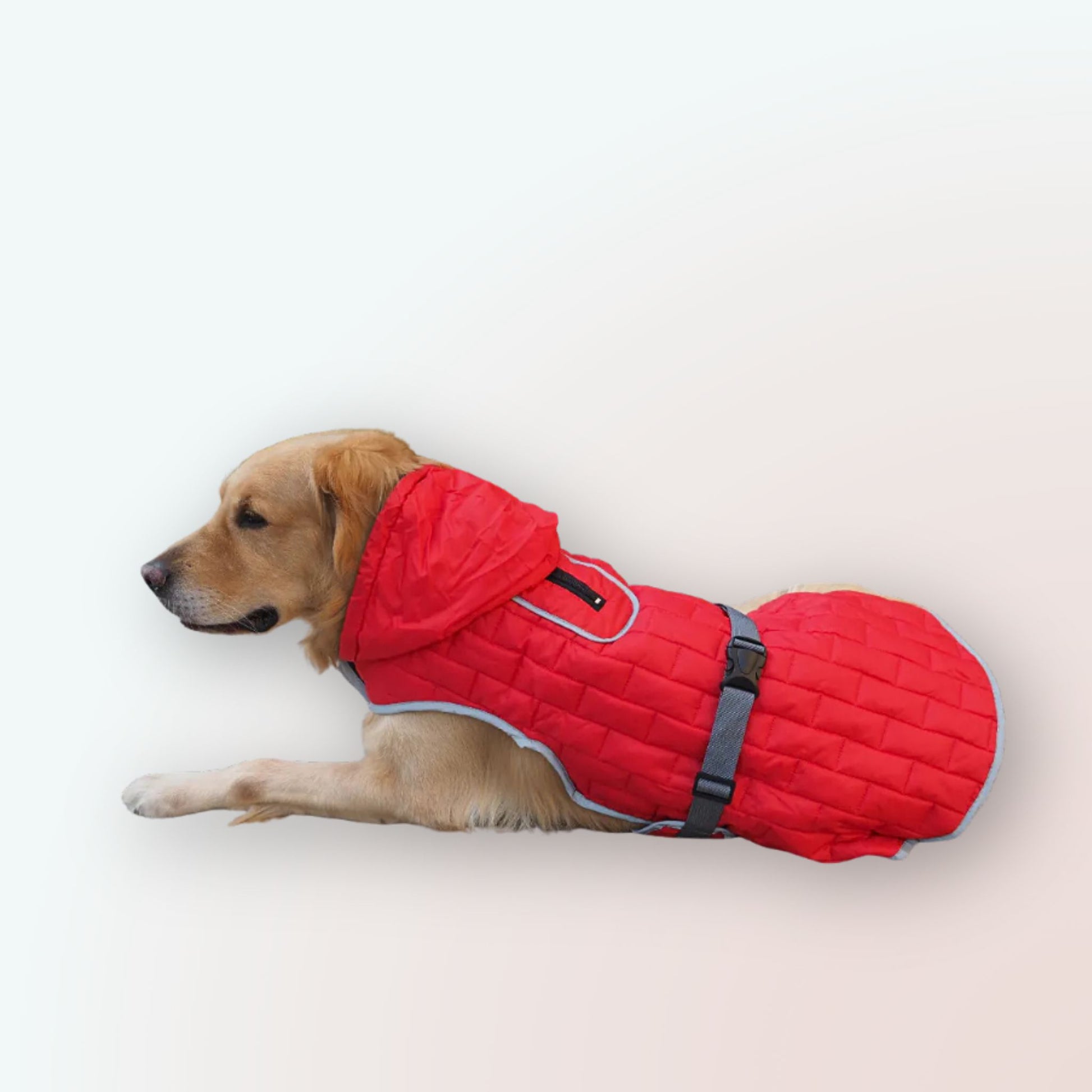 Doppelseitiger Schutz & Stil: Unser Wasserdichter Mantel für Grosse Hunde