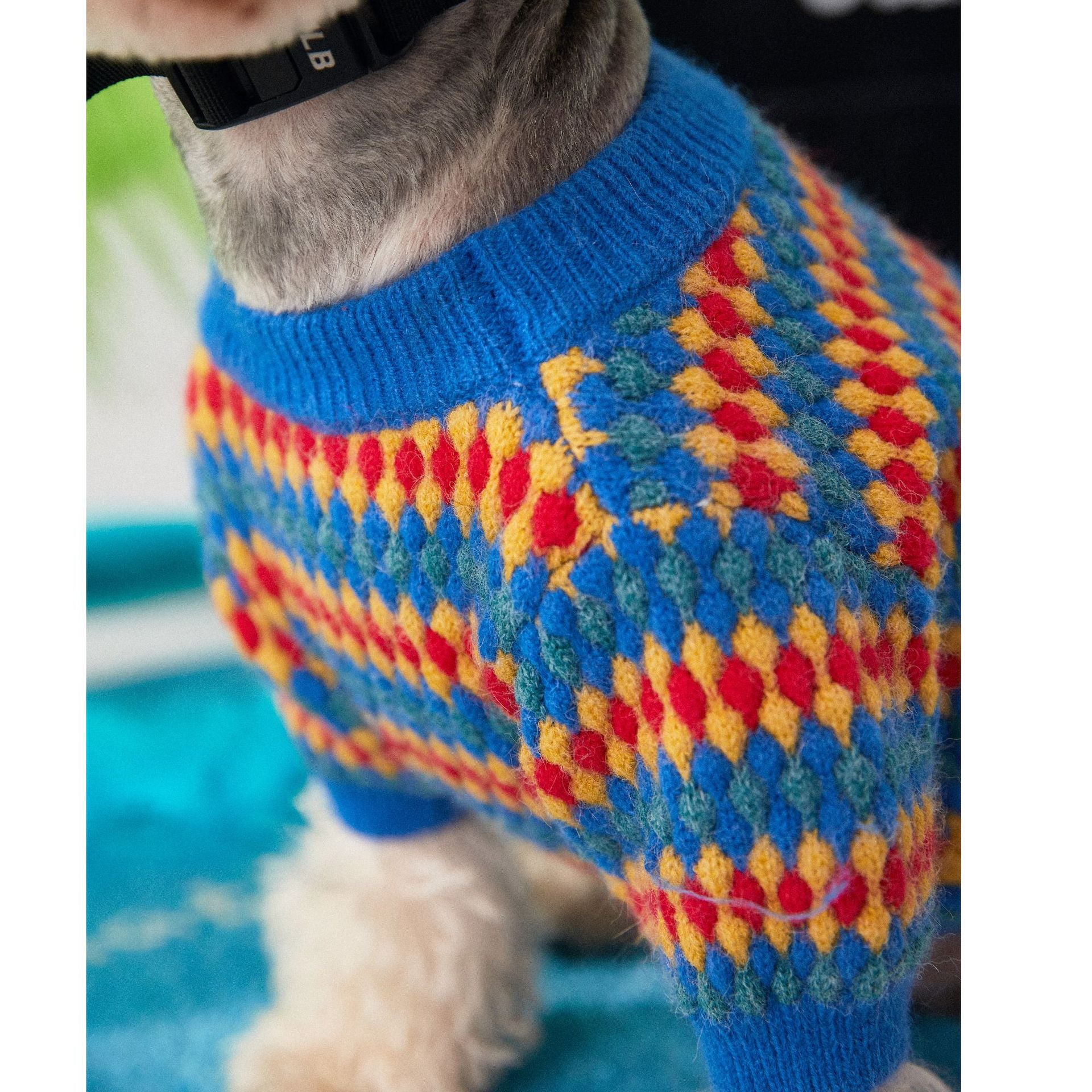 Kuscheliger Stil für Kalte Tage: Unser Herbst- und Winterpullover aus Wolle für Hunde