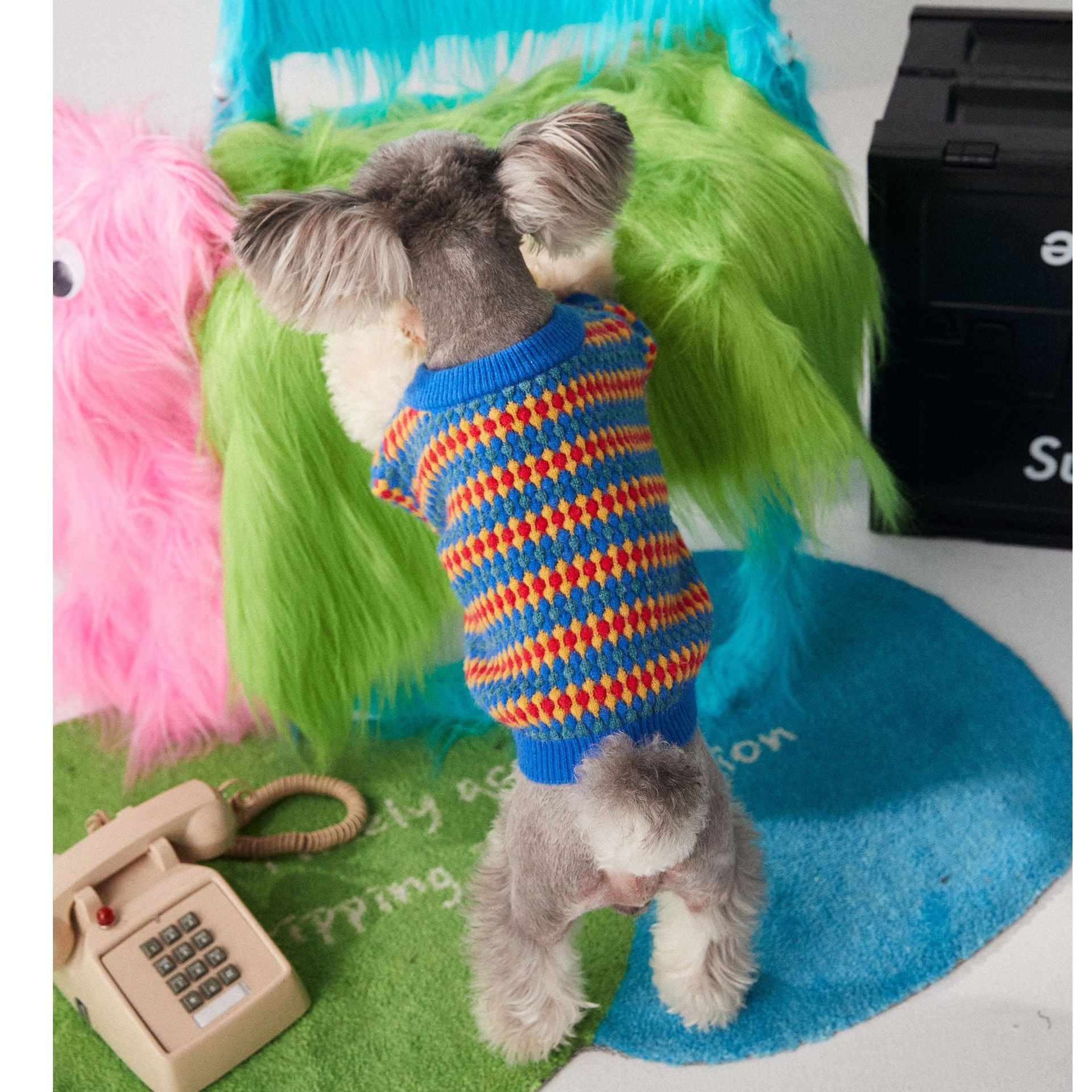 Kuscheliger Stil für Kalte Tage: Unser Herbst- und Winterpullover aus Wolle für Hunde