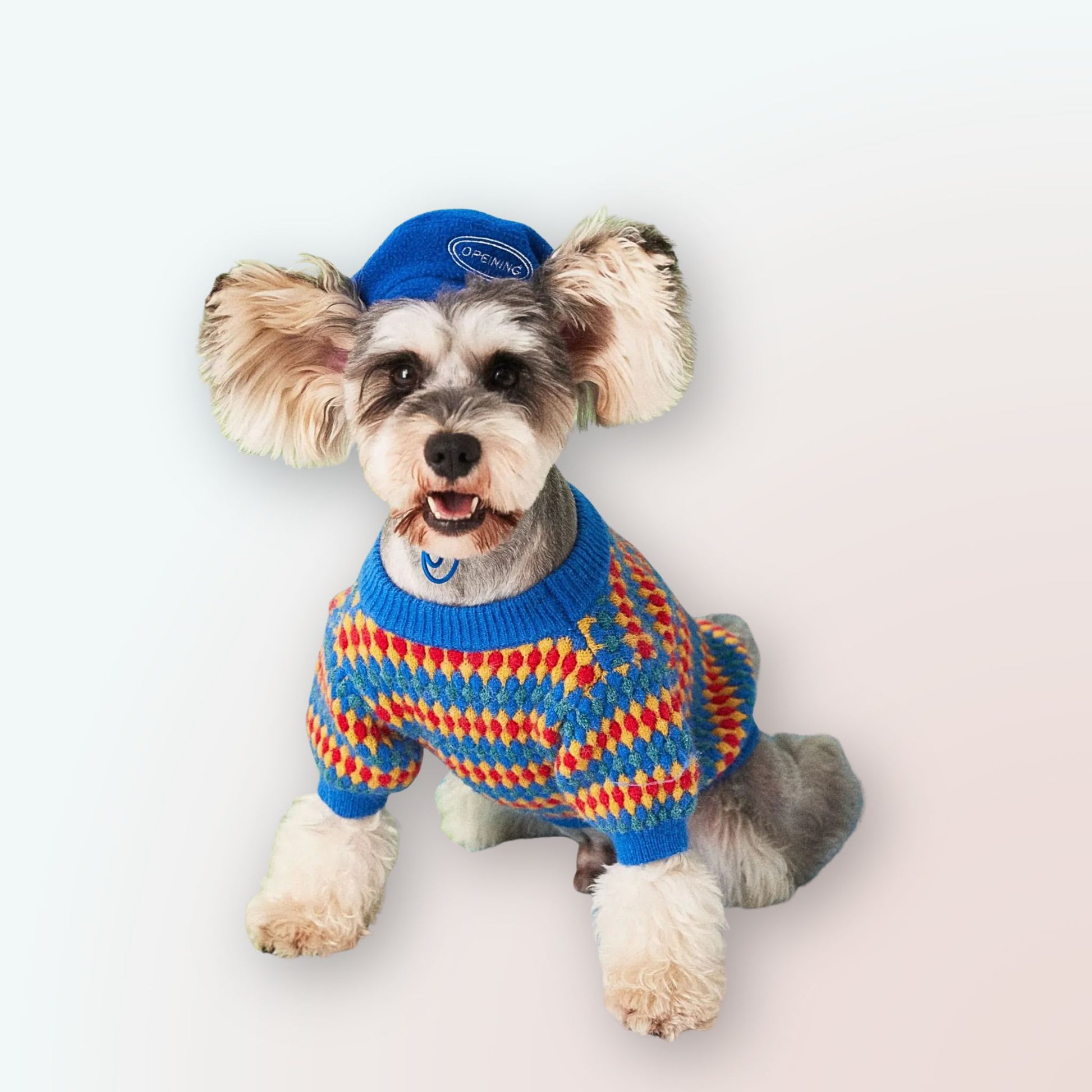 Kuscheliger Stil für Kalte Tage: Unser Herbst- und Winterpullover aus Wolle für Hunde