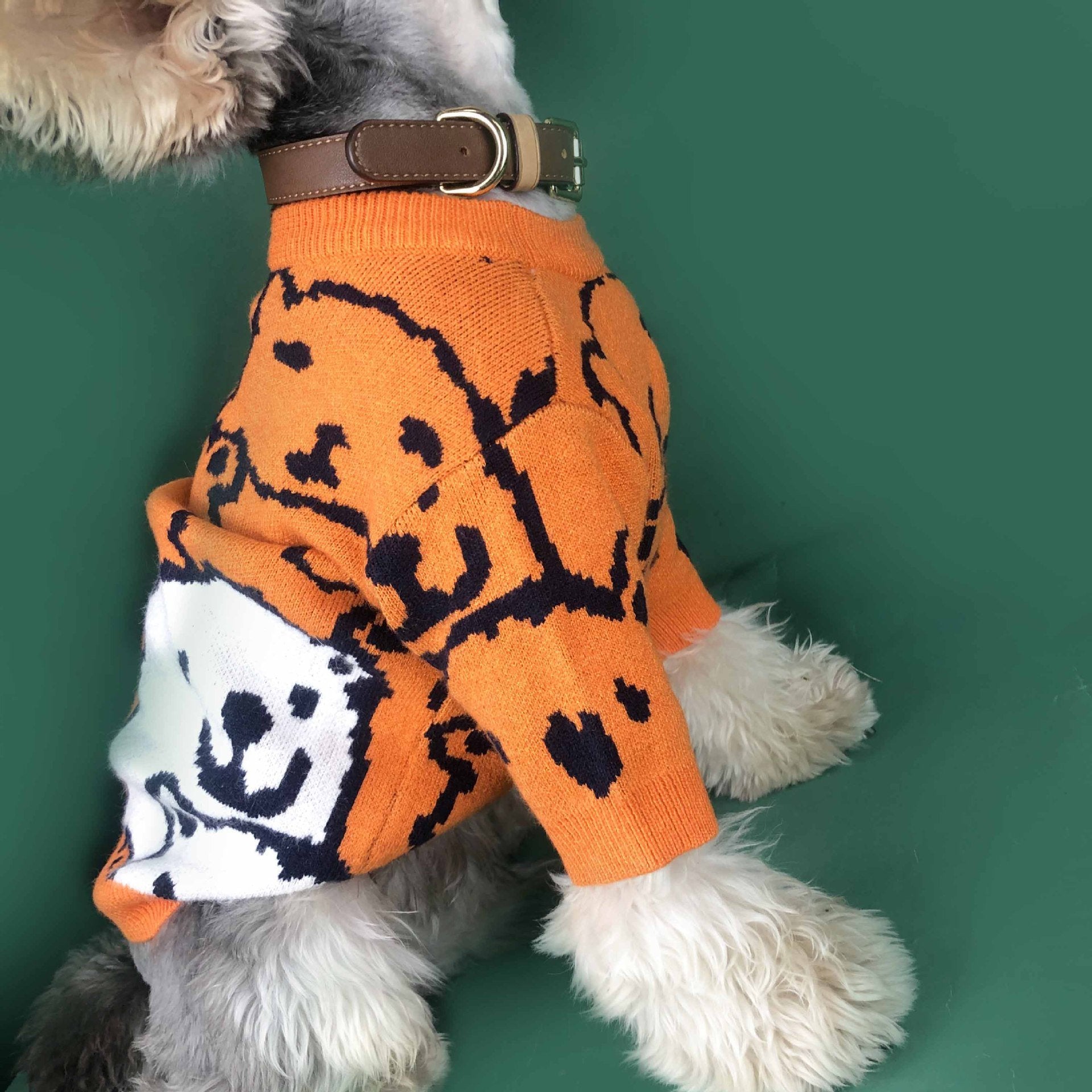 Frühlings- & Herbstzauber: Unser Kuscheliger Wollpullover für Kleine Hunde