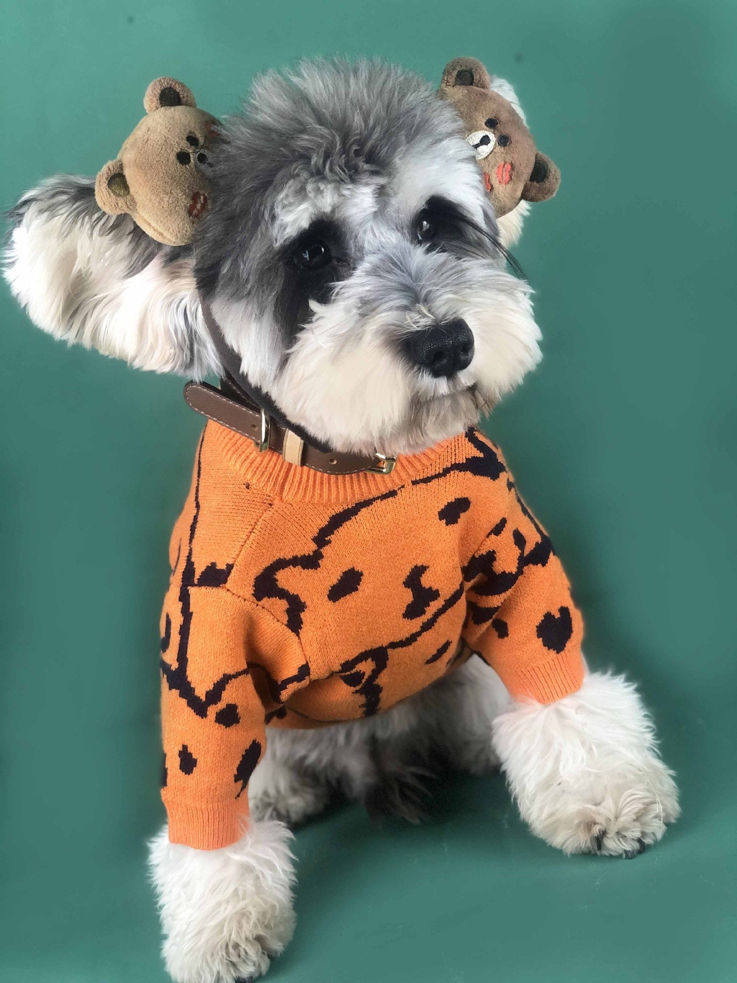 Frühlings- & Herbstzauber: Unser Kuscheliger Wollpullover für Kleine Hunde