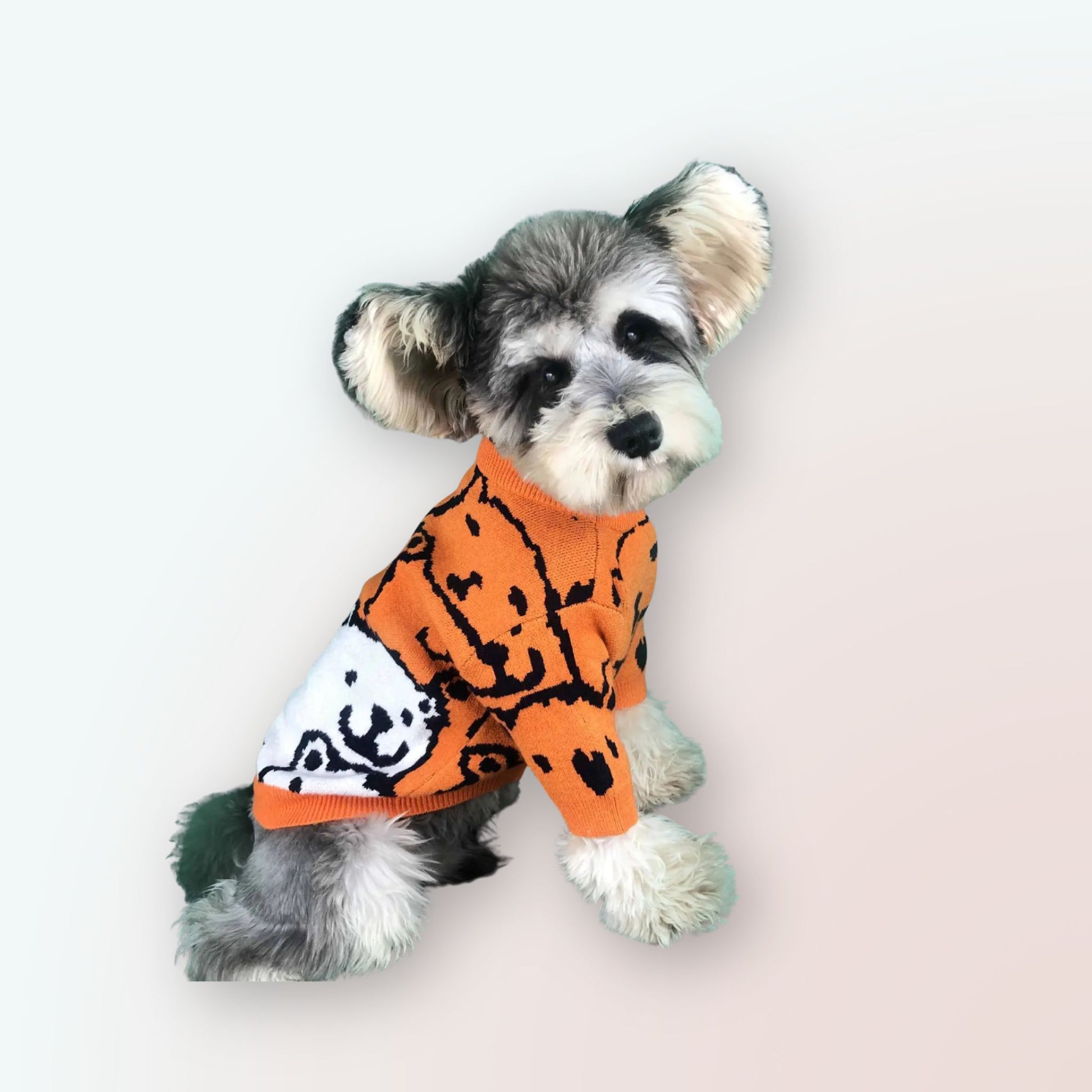 Frühlings- & Herbstzauber: Unser Kuscheliger Wollpullover für Kleine Hunde