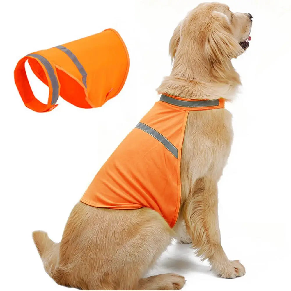 Sicher & Stilvoll: Unsere Reflektierende Haustierkleidung für Hunde