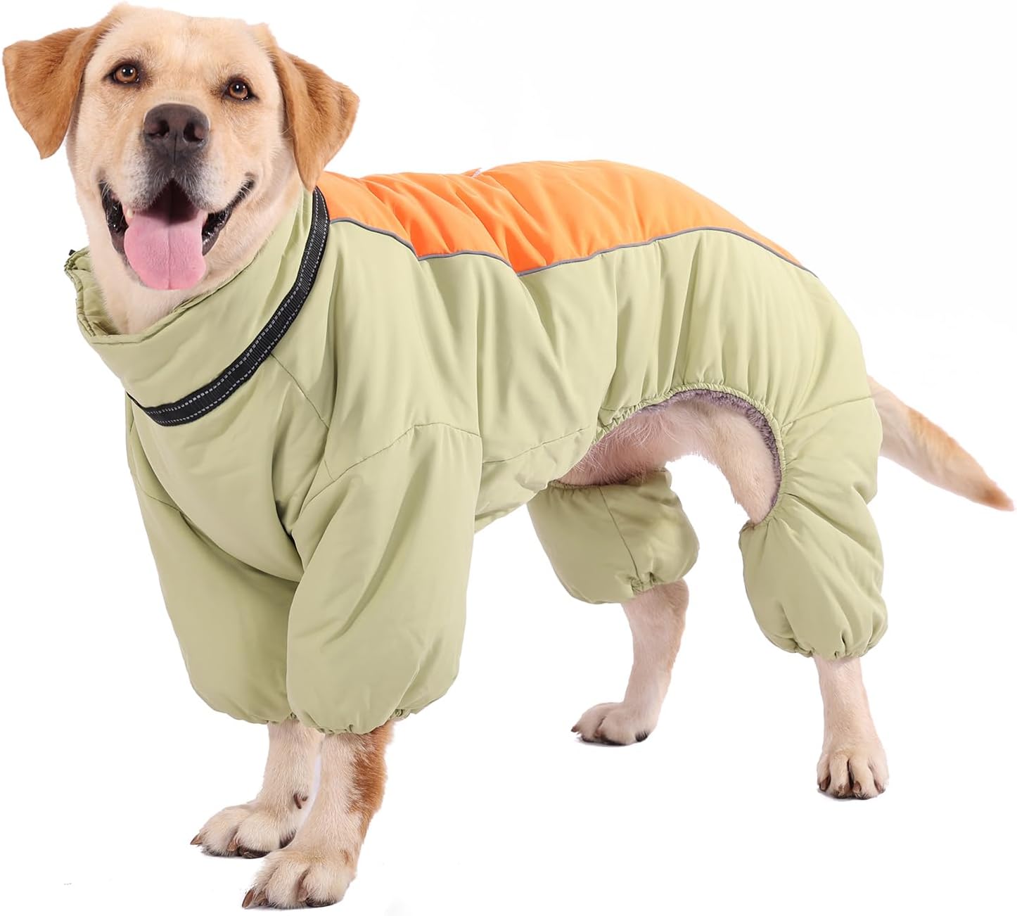 Wärme & Stil für Goldene Retriever: Unser Gemütlicher Coral-Fleece Mantel für Mittelgrosse & Grosse Hunde
