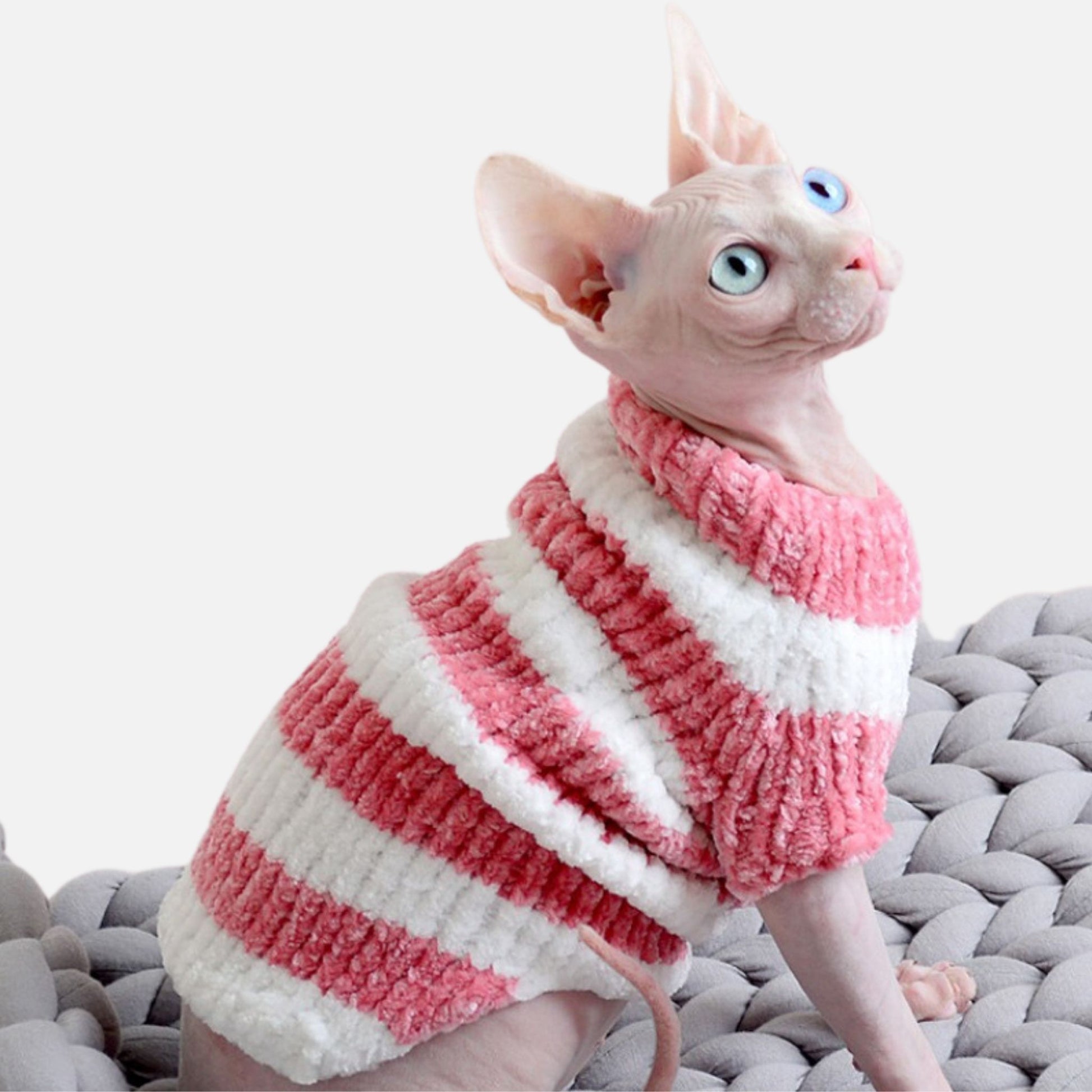 Fashion-Statement für Nacktkatzen: Unsere Modische Persönlichkeit Neue Katzenkleidung ohne Haare