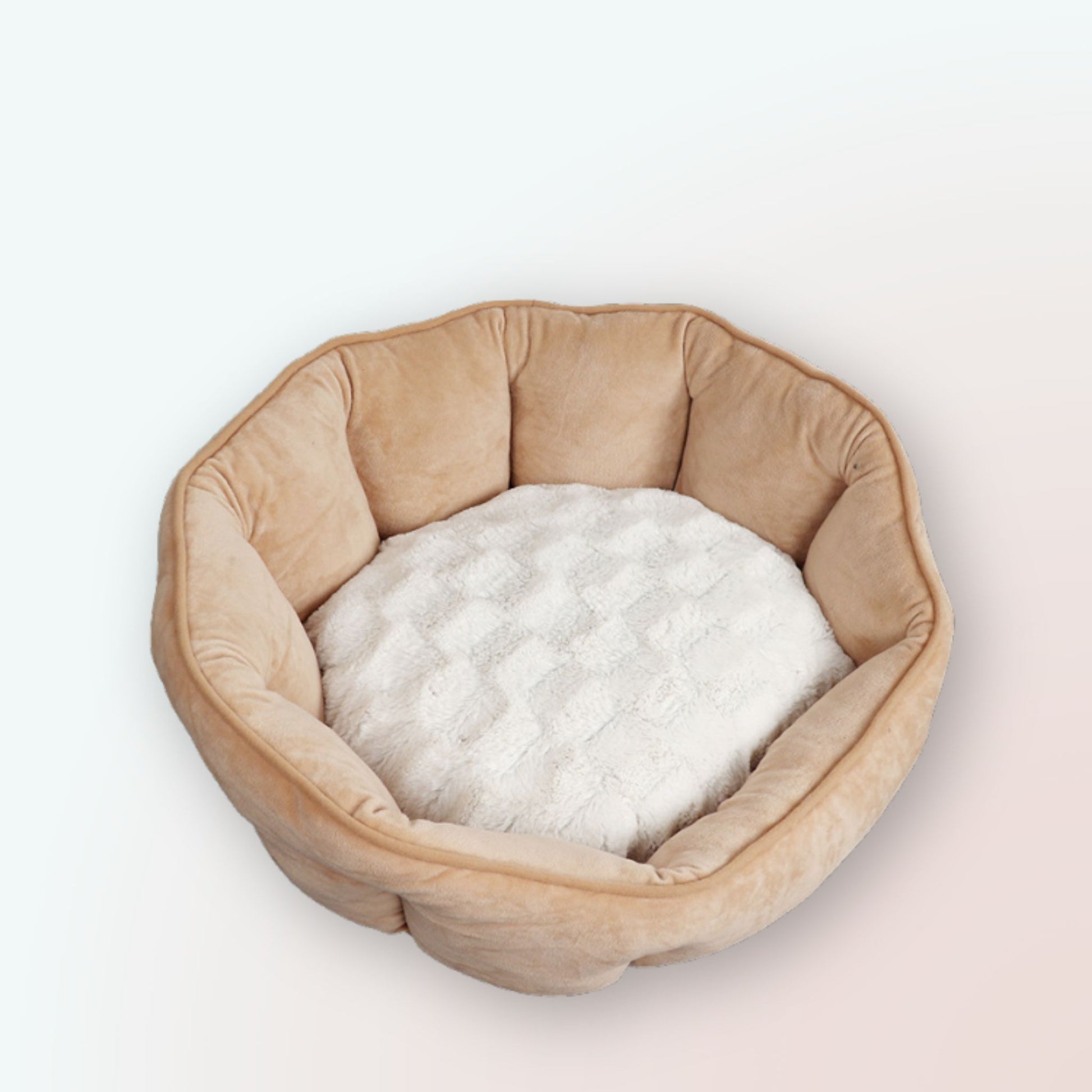 Bezauberndes Muschelförmiges Haustierbett für Katzen & Hunde