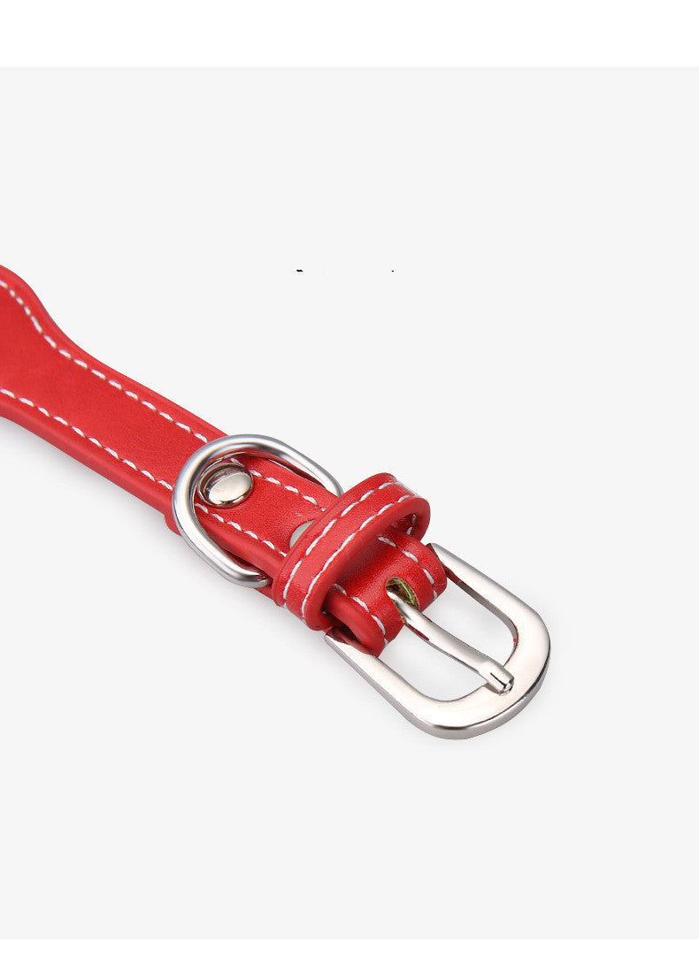 Reflektierendes Knochen-Halsband mit Glöckchen: Stil und Sicherheit für Ihr Haustier!