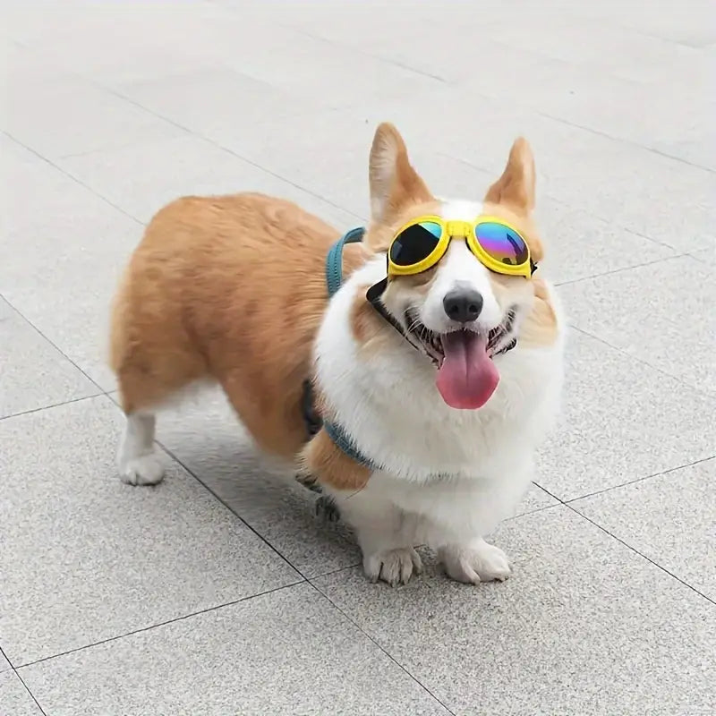 Best-Selling Faltbare UV-Hundesonnenbrillen in 6 Farben