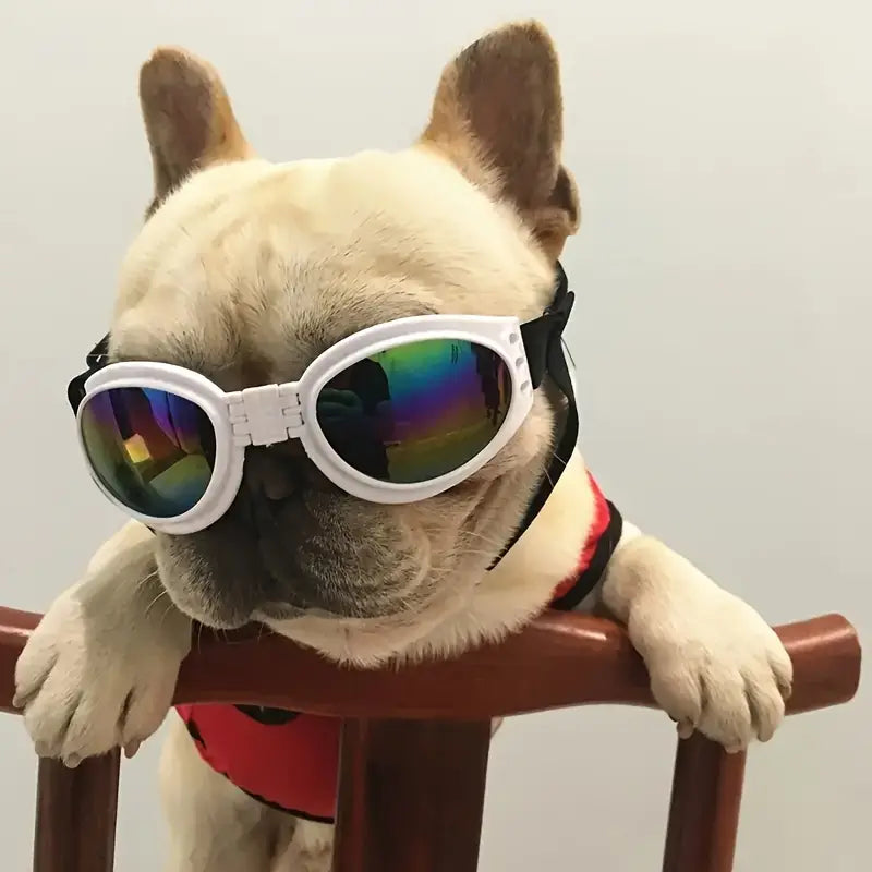 Best-Selling Faltbare UV-Hundesonnenbrillen in 6 Farben