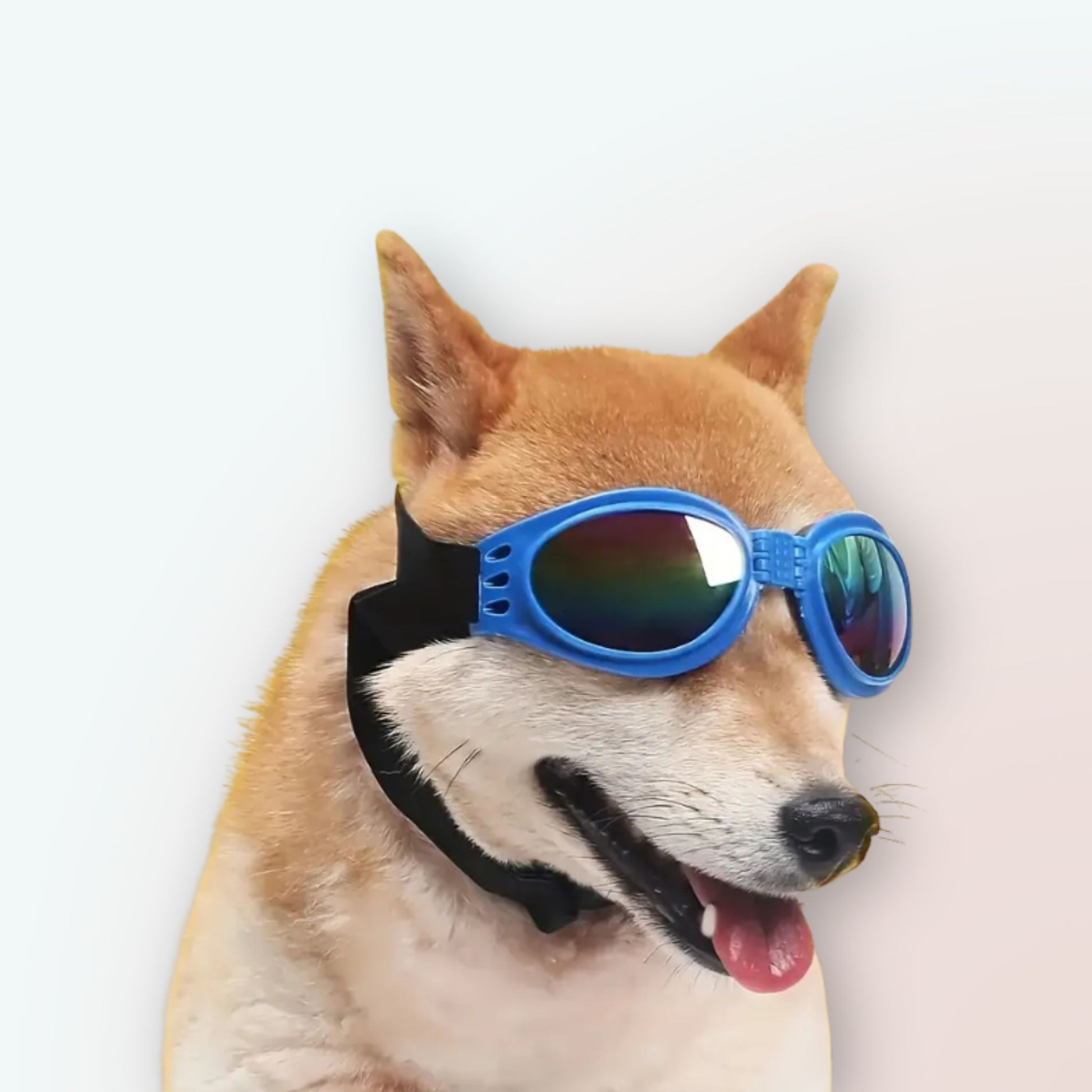 Best-Selling Faltbare UV-Hundesonnenbrillen in 6 Farben