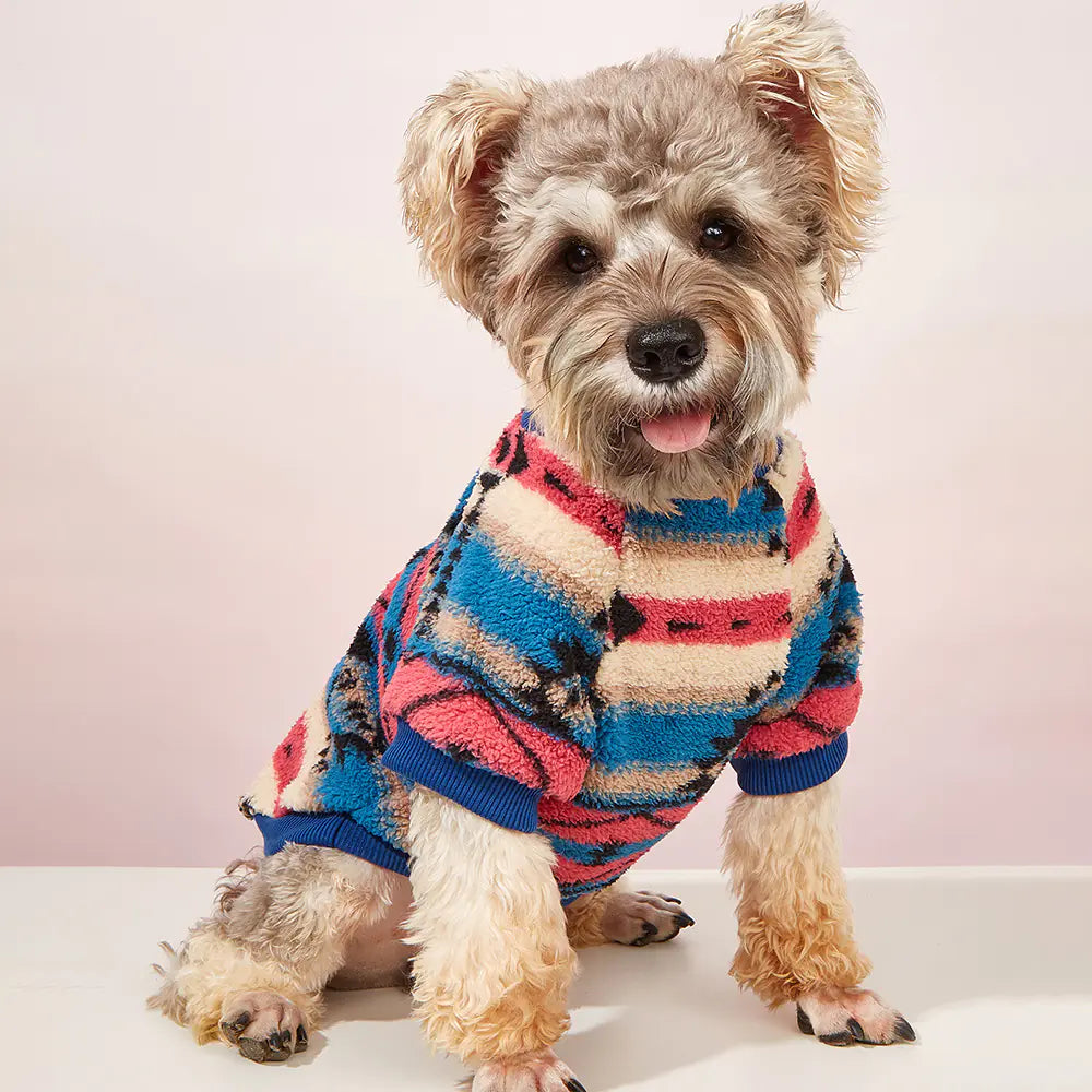 Bereiten Sie Ihren Hund auf die Kälte vor: Unser Bezaubernder Ins-Style Hoodie speziell für Hunde!