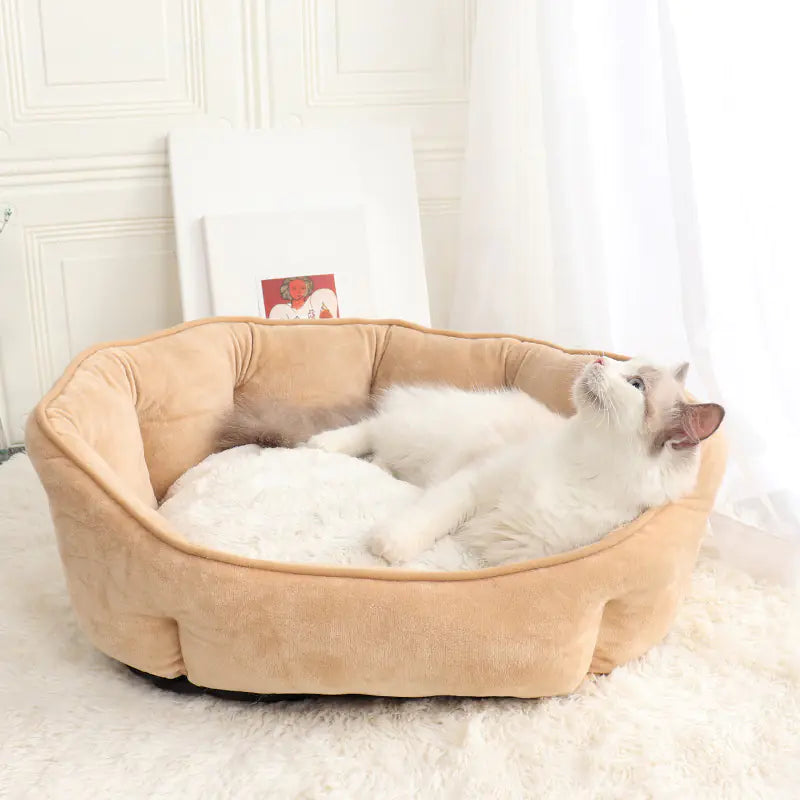 Bezauberndes Muschelförmiges Haustierbett für Katzen & Hunde