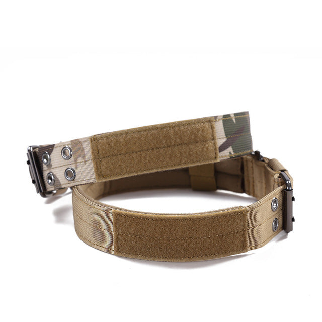 Hundehalsband: Robuster Komfort für mittlere & große Rassen!