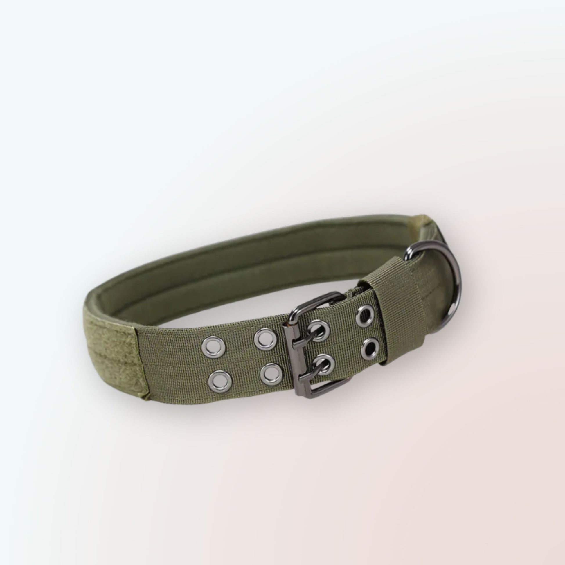 Hundehalsband: Robuster Komfort für mittlere & große Rassen!