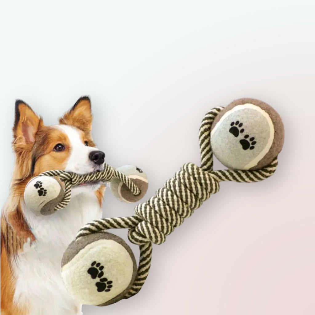 Robustes Spielvergnügen: Das Baumwollseil-Hantel-Hundespielzeug!