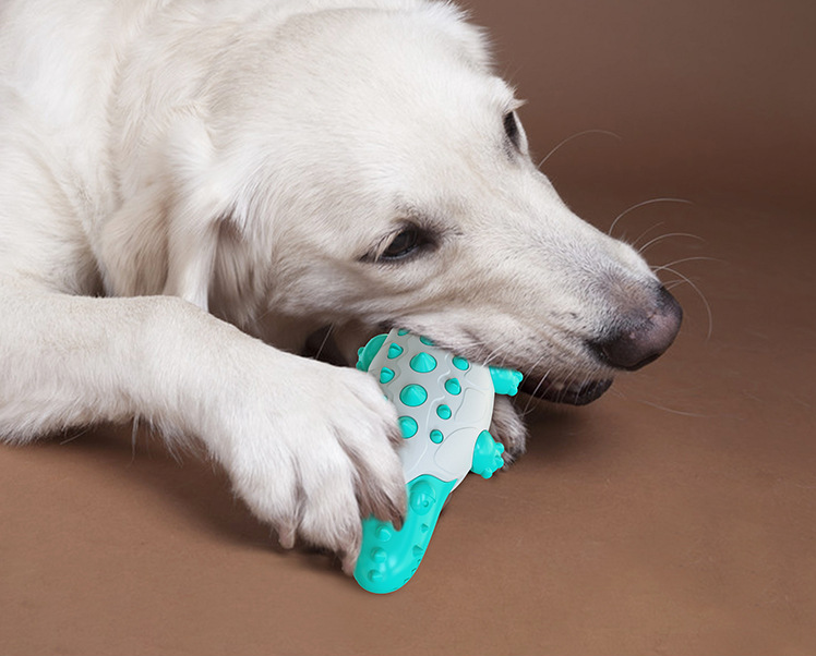 Spielspaß & Zahnpflege für Ihren Hund!