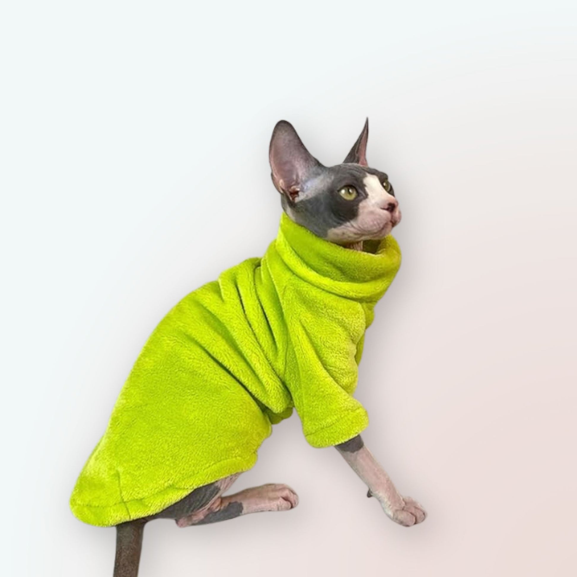 Eleganz für Ihre Nacktkatze: Entdecken Sie unsere Mode- & Persönlichkeits-Kollektion