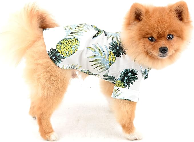 Tropisches Flair für Ihren Vierbeiner: Unser Hawaiianisches Hundehemd für den Sommerurlaub