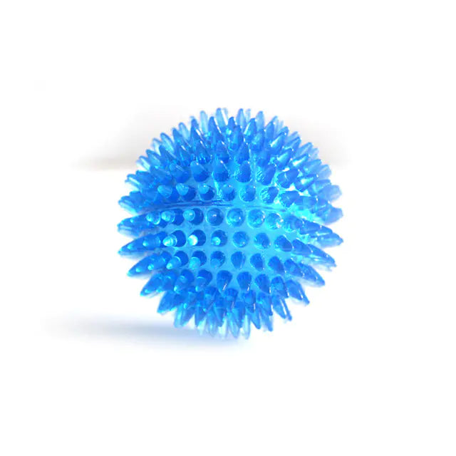 Der Transparente Elastische Hunde-Zahnbürsten-Massageball: Spielend gesunde Zähne!