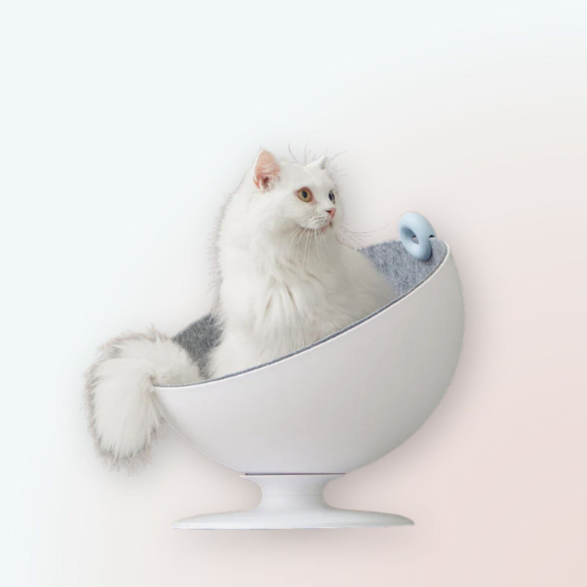 FURRYTAIL Katzen-Hängematte mit drehbarem Design