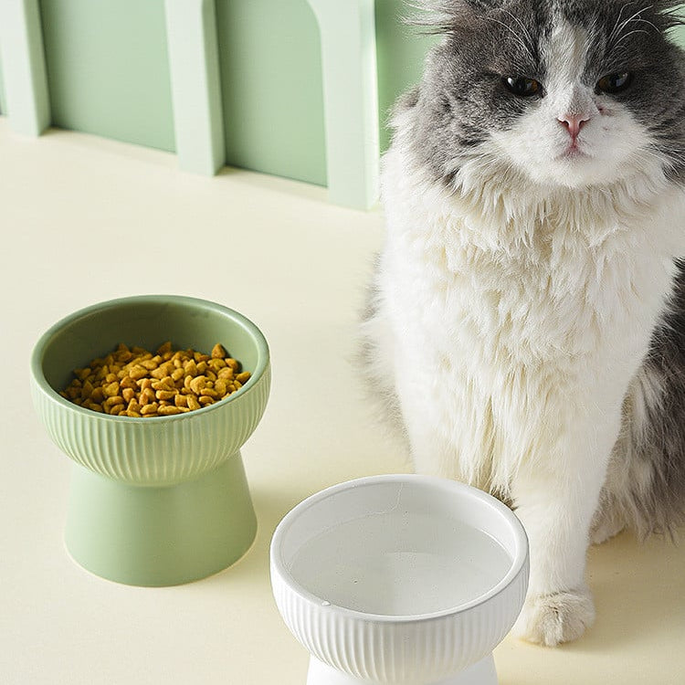 JoyCat Keramik-Futternapf für Katzen und Hunde – Peekabowl-Serie