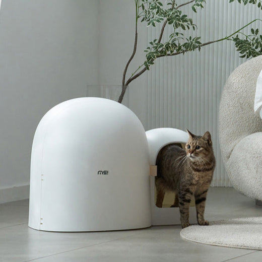 Geschlossene grosse Katzentoilette mit Geruchskontrolle