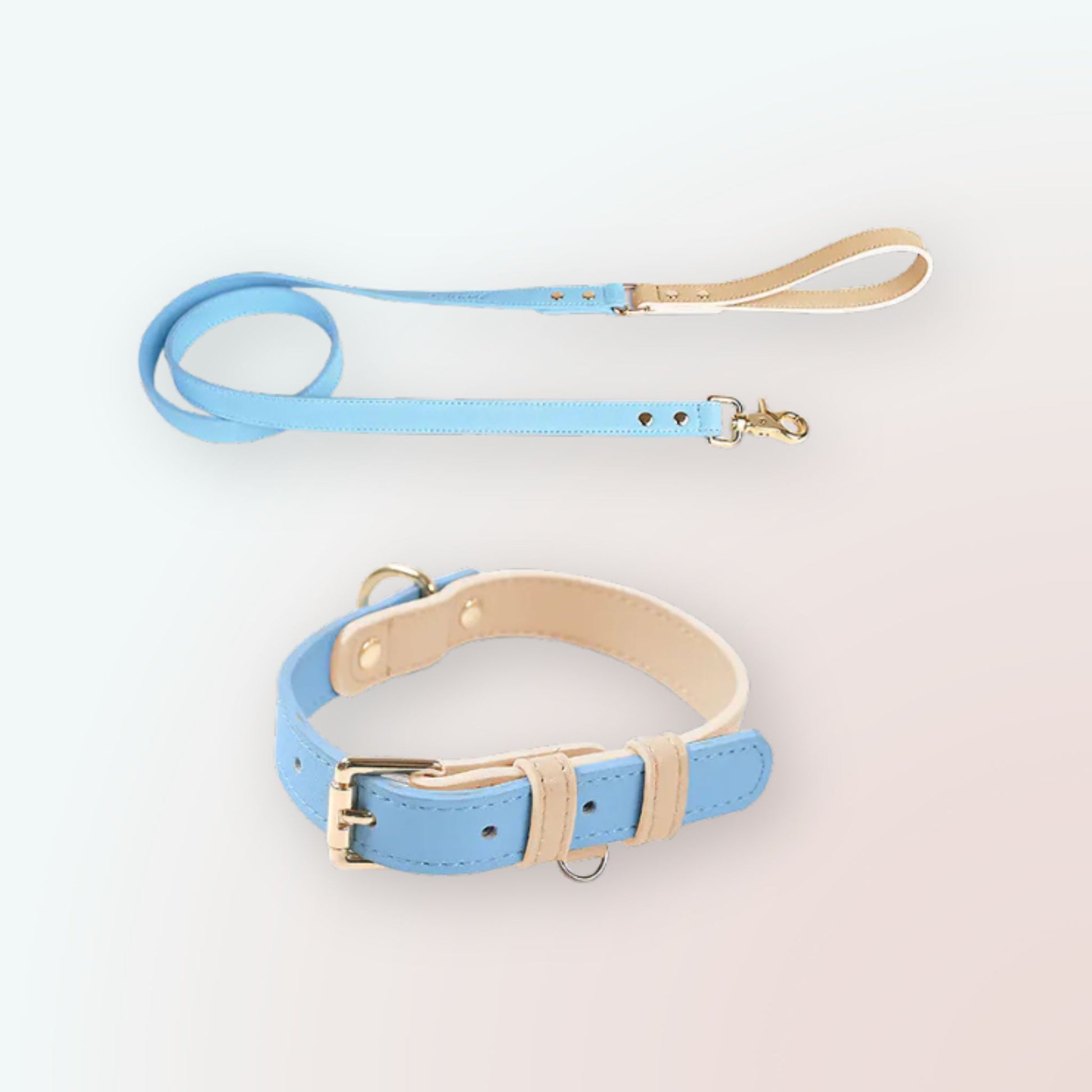 Leder-Hundeleine und -Halsband-Set