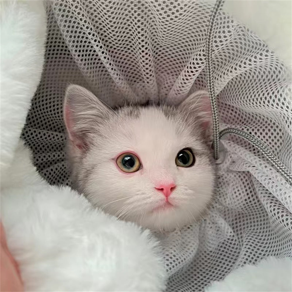 Das Katzen-Reiserucksack: Komfort und Stil für Unterwegs!