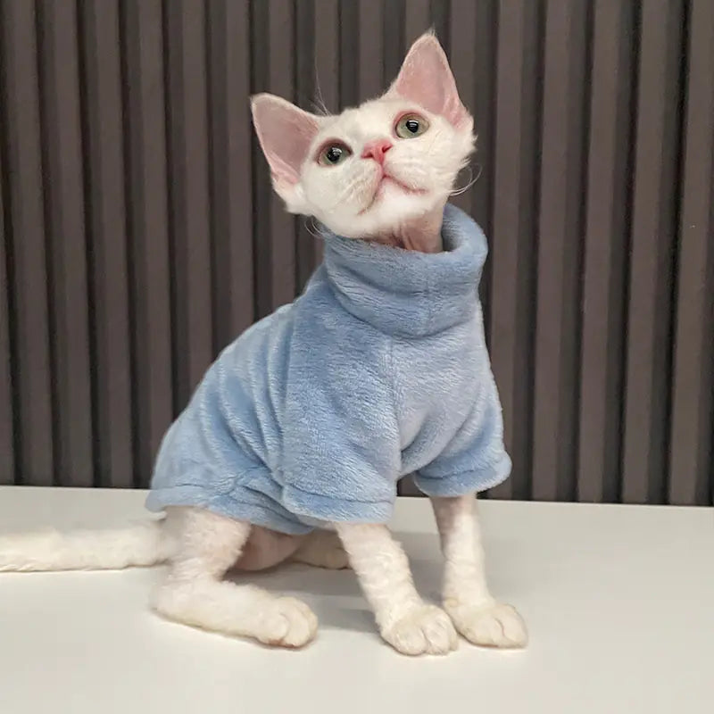 Eleganz für Ihre Nacktkatze: Entdecken Sie unsere Mode- & Persönlichkeits-Kollektion