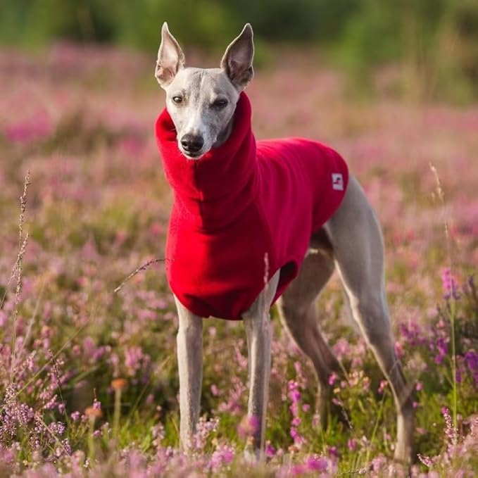Warm & Stilvoll: Unser Premium Polar Fleece Rollkragen-Hundeanzug – Der Ideale Kälteschutz