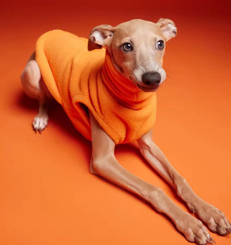 Warm & Stilvoll: Unser Premium Polar Fleece Rollkragen-Hundeanzug – Der Ideale Kälteschutz