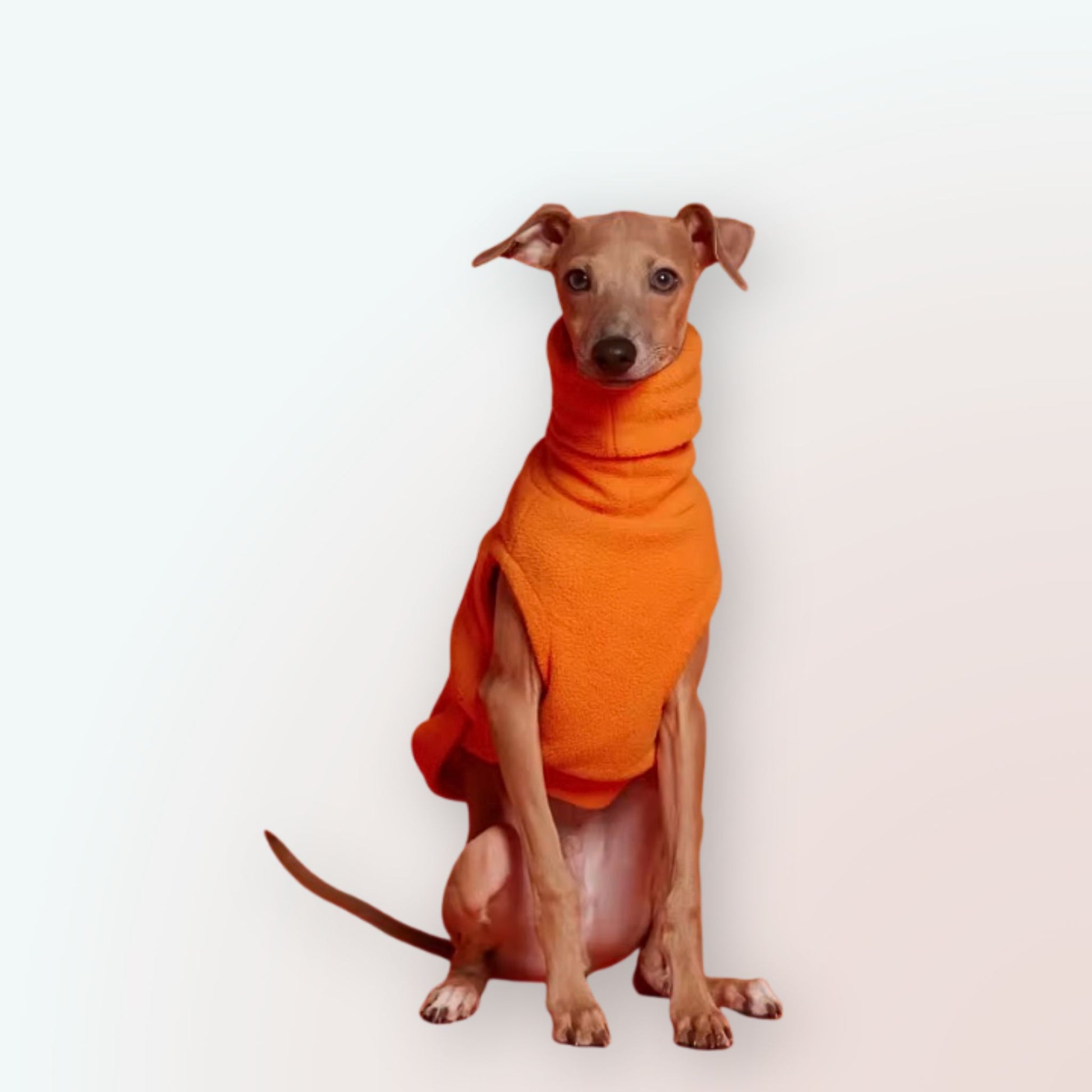 Warm & Stilvoll: Unser Premium Polar Fleece Rollkragen-Hundeanzug – Der Ideale Kälteschutz