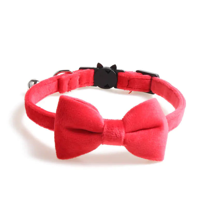 Katzenhalsband mit Samtschleife und Glöckchen