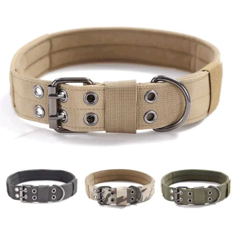 Hundehalsband: Robuster Komfort für mittlere & große Rassen!