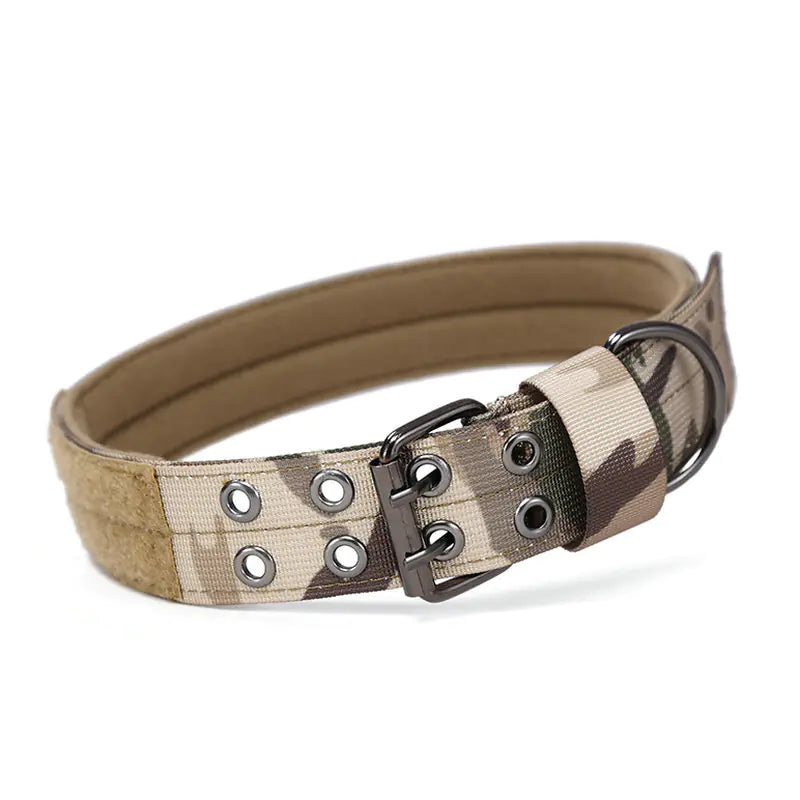 Hundehalsband: Robuster Komfort für mittlere & große Rassen!