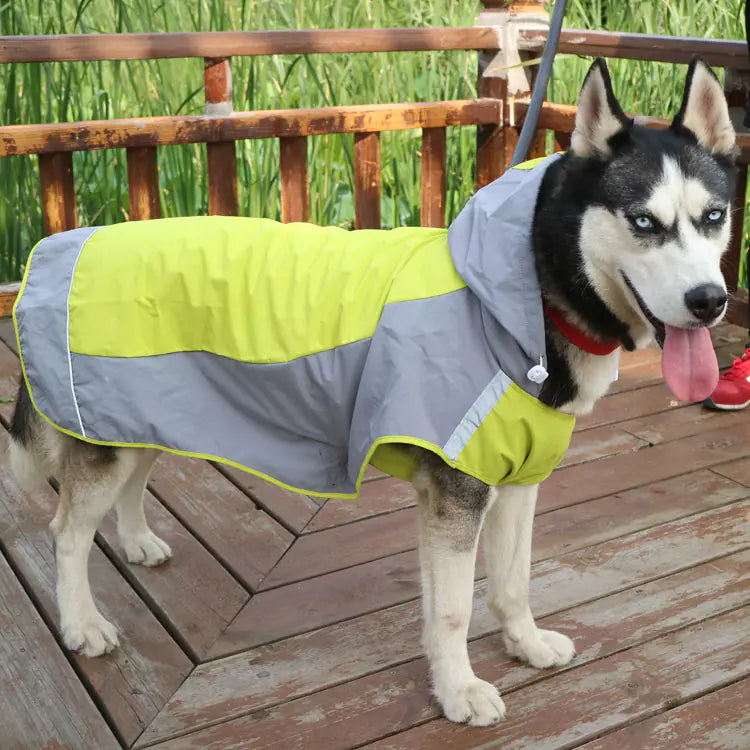 Der Ultimative Schutz für Grosse Hunde: Unser Farbenfroher Color Block Regenmantel im Umhang-Stil