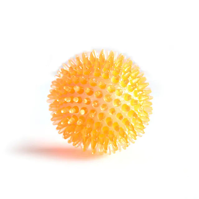 Der Transparente Elastische Hunde-Zahnbürsten-Massageball: Spielend gesunde Zähne!