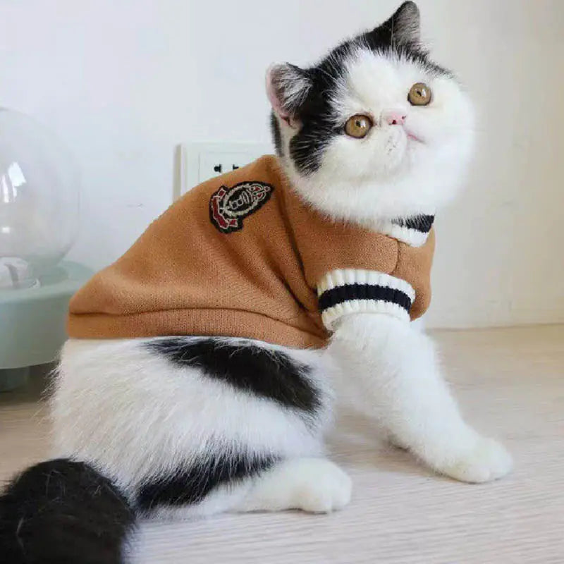 Warm & Schick durch den Winter: Unsere Gestrickte Winterweste für Haustiere im Akademischen Stil
